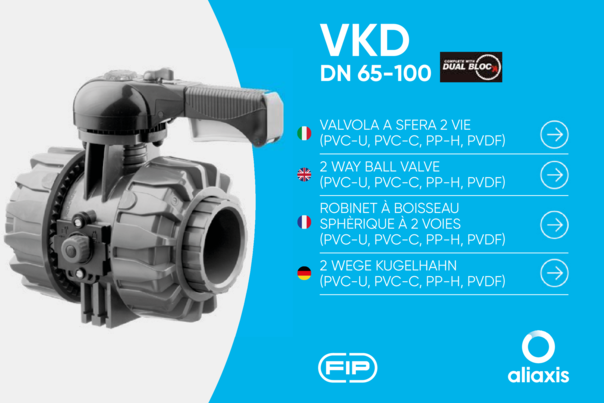 Bedienungsanleitung Kugelhahn VKD DualBlock DN65-100