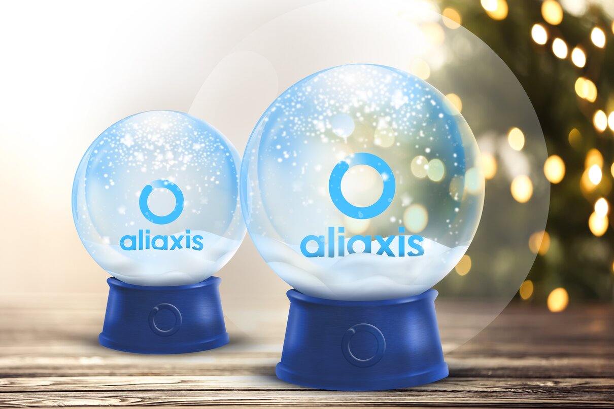 Aliaxis Deutschland wishes you a Merry Christmas!