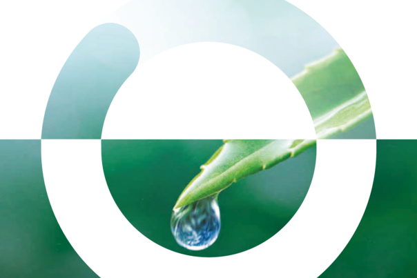Aliaxis Infrastruktur Produktkatalog 2025
